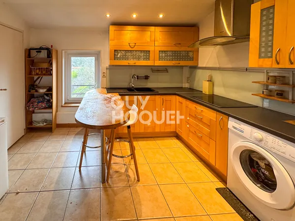 Appartement Serezin Du Rhone 3 pièce(s) 