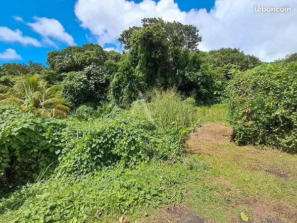 Terrain 2167 m² FORT DE FRANCE 