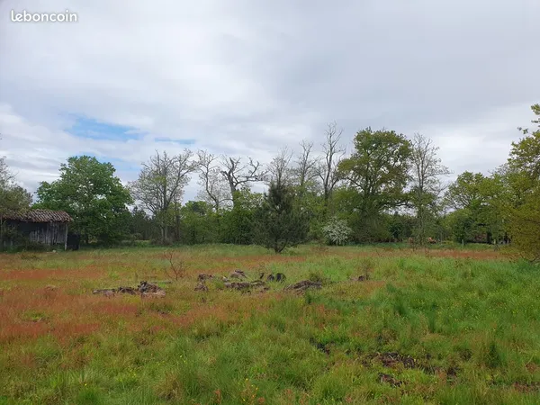 Terrain à bâtir - 2988 m² 