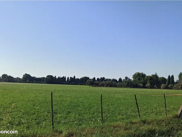 Maison 190 m² Saint Martin De Crau 