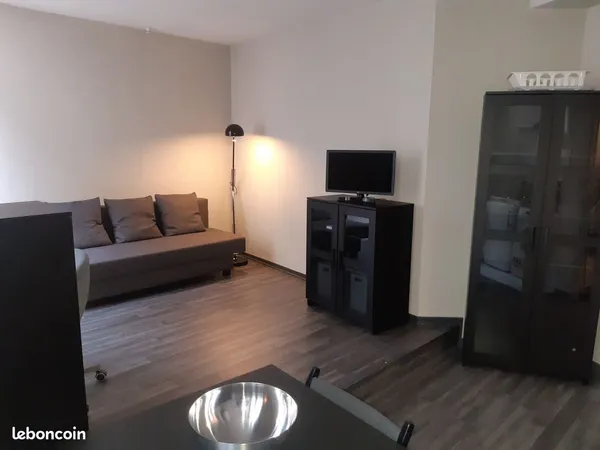 Grand studio meublé (avec lave-linge et tv hd) en centre-ville 