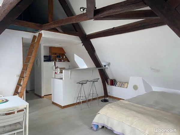 Studio meublé 43m2 au sol / 24,99m2 loi Carrez 