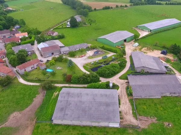 Belle ferme Bovin Viande 