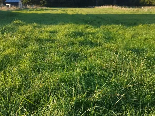 Terrain 2695 m² Langon-sur-Cher 