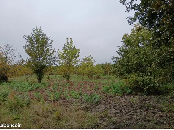 Terrain 400 m² Parentis En Born 