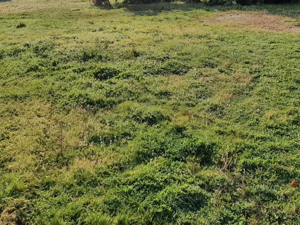 Terrain Vente Le Temple  1100m² 170000€