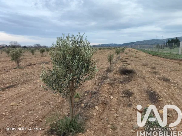 Terrain 34735 m² 