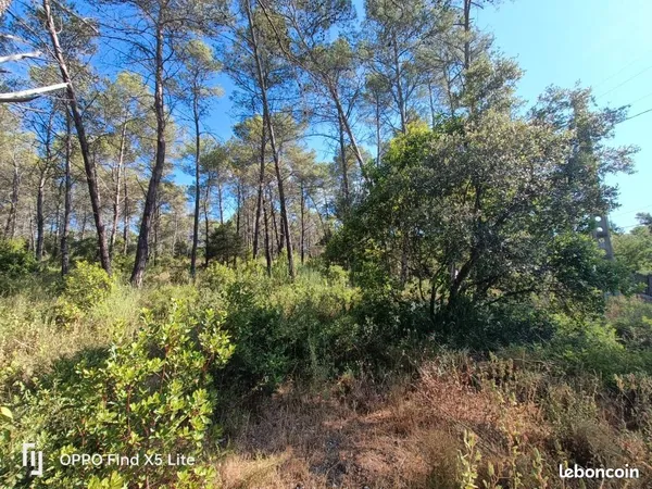 Terrain 1 201 m² Bagnols En Foret 