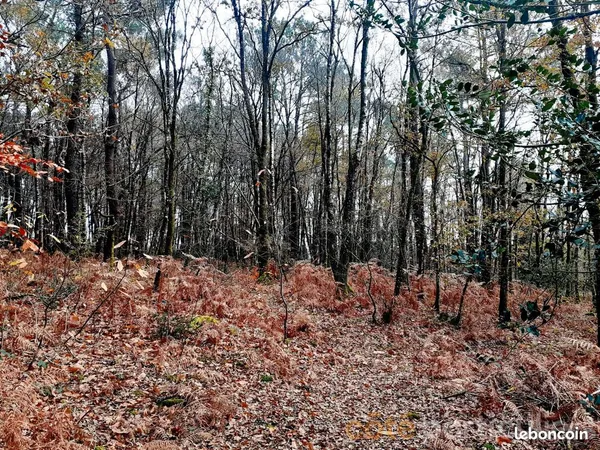 Terrain 5350 m² QUISTINIC 