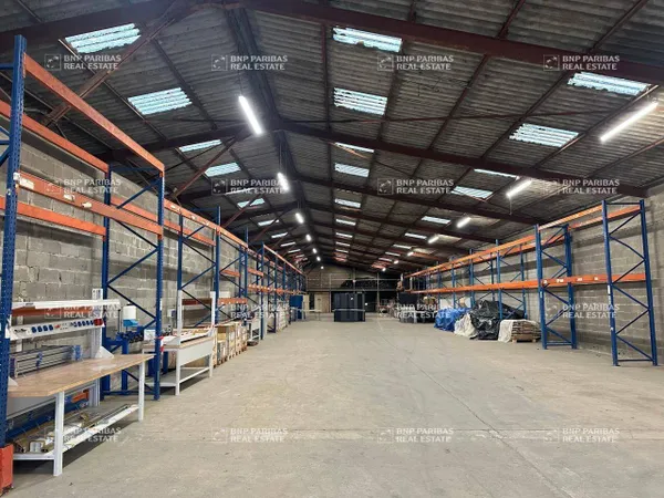 Local d'activité 800 m² 