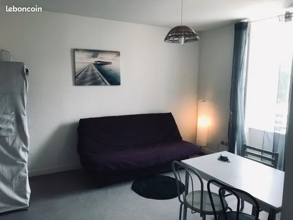 Beau studio meublé 26 M2, PAC neuve, Annonay centre 