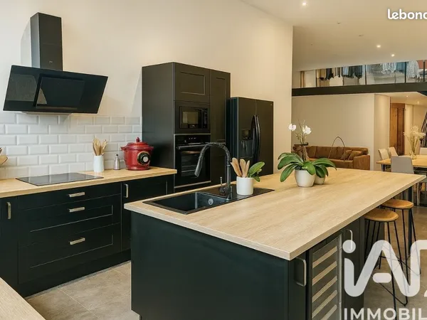 Loft 2 pièces 115 m² 