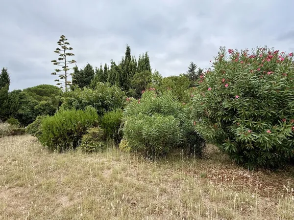 Terrain en individuel 456 m² 