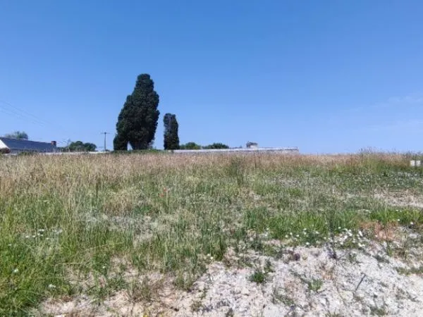 Terrain 447 m² 