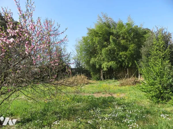 Terrain 863 m² 