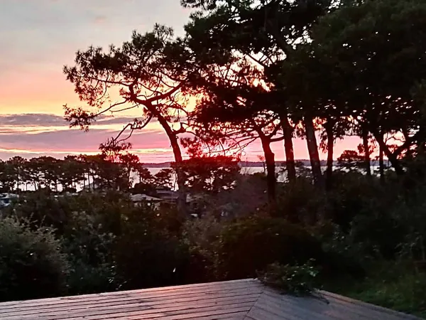Vends maison avec vue sur la canopée et le Bassin d'Arcachon - 129m² 