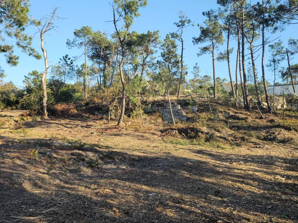 Terrains viabilisés en coeur du Bois de Kador à Crozon, proches du littoral 