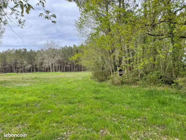 Terrain 1 000 m² Vendays Montalivet 