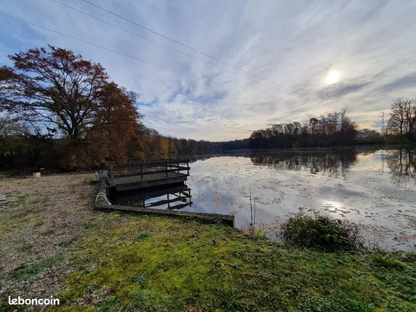 Terrain 84646 m² 