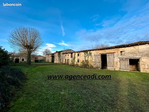 Local 5 pièces 250 m² 