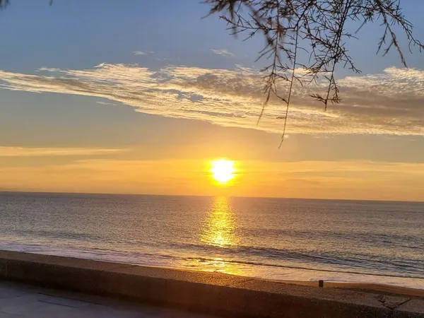 Restaurant 100 m² Anglet 