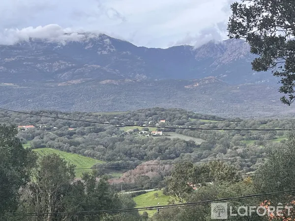 Terrain 8400 m² 