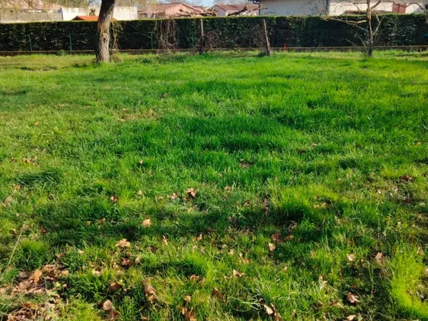 Terrain 915 m² 