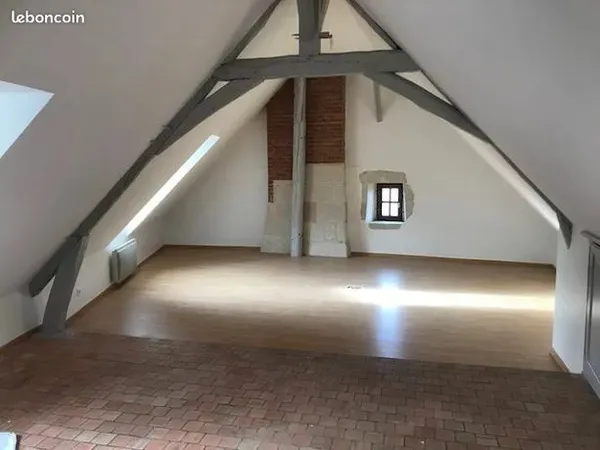 Appartement 1 pièce 45 m² 