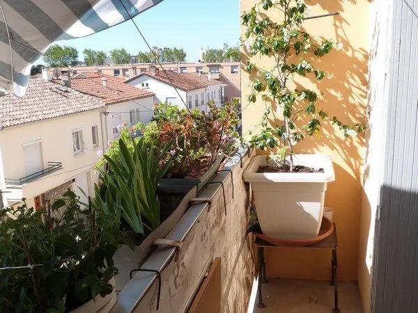 Appartement 2 pièces 53 m² 