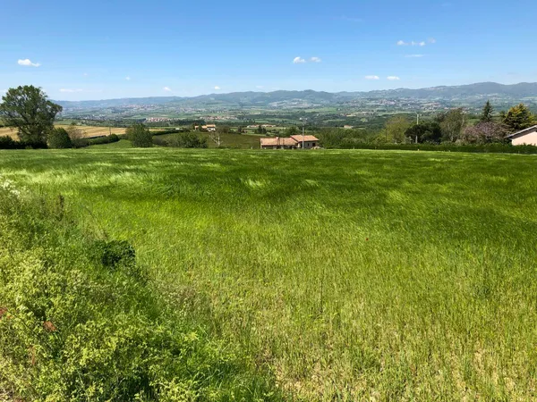 Terrain en individuel 318 m² 