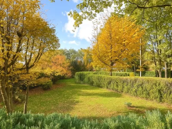 Terrain 734 m² Dammarie Les Lys 