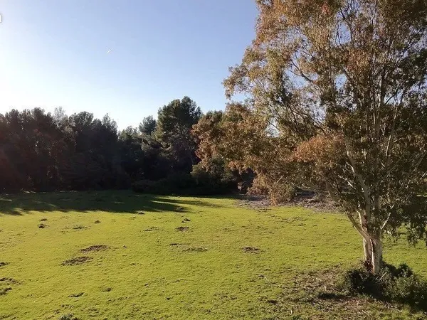 Terrain 2000 m² Saint-Cyr-sur-Mer 