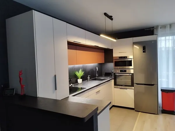 Appartement 2 pièces et 2 terrasse 49 m² entièrement meublé 