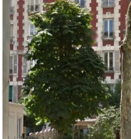 Loue appartement 