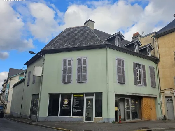 Immeuble 12 pièces 301 m² 
