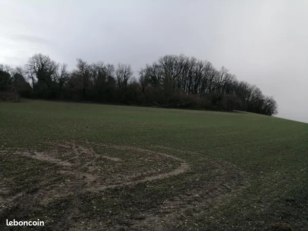 Terrain 6 610 m² Saint Severin 