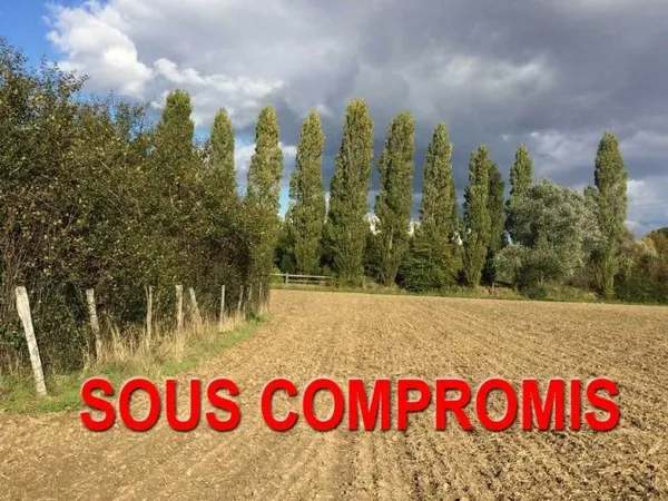 Terrain Vente Voisines  1174m² 29700€