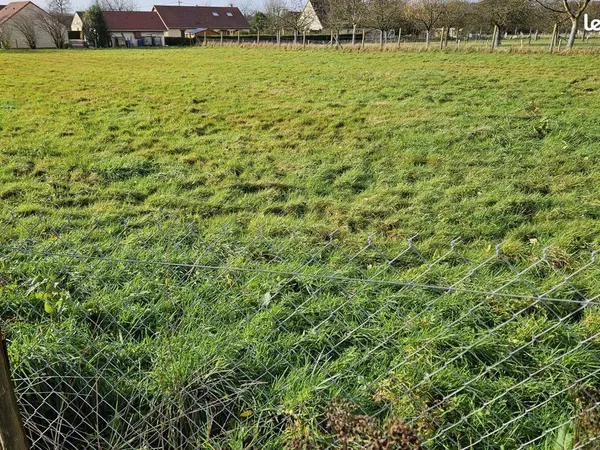 Terrain 13600 m² 