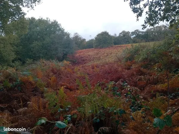 Terrain agricole 18 725 m² Glomel 