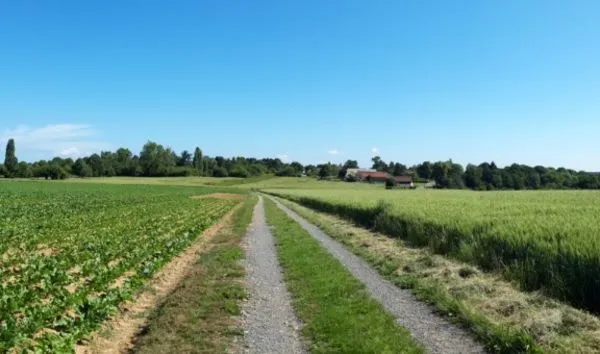 Terrain 465 m² 
