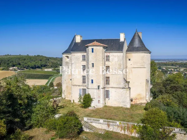 Château 12 pièces 