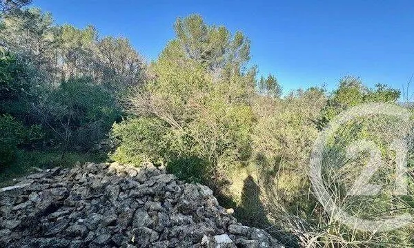 Terrain 1225 m² 