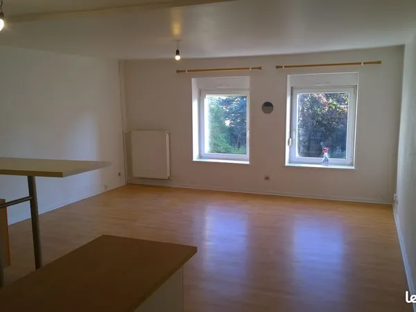F2 de 55m² Epinal centre avec jardin en terrasses 