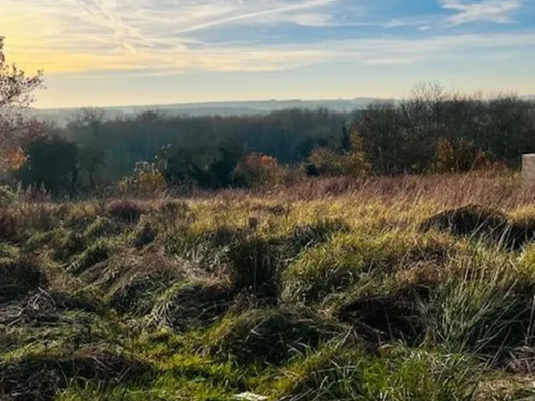 Terrain à bâtir-1978 m²-Montigny S/ Vesle (51140) Viabilisé 