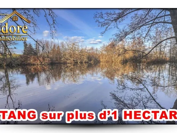 Terrain 11165 m² 