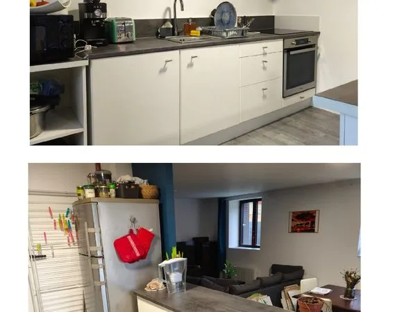 Appartement meublé 45m2 - 2 pièces 
