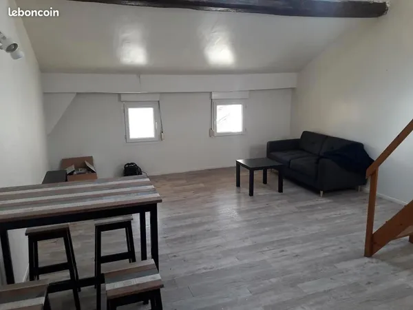 Appartement centre villes 