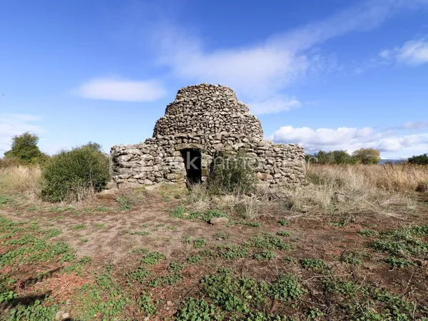 Capitelle d'Exception sur 2,5 ha de terrain ! 