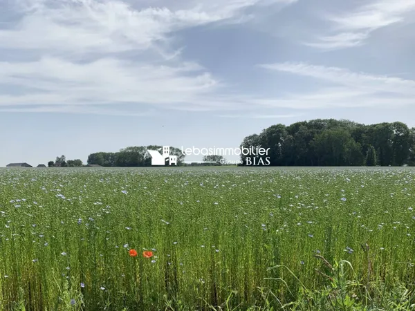 Terrain 526 m² 