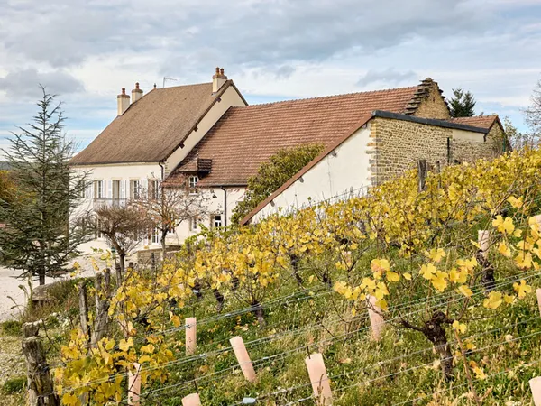 Une maison de pierre entre vignes et coteau 